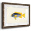 Collection de poissons tropicaux V-1194764187-1194764182