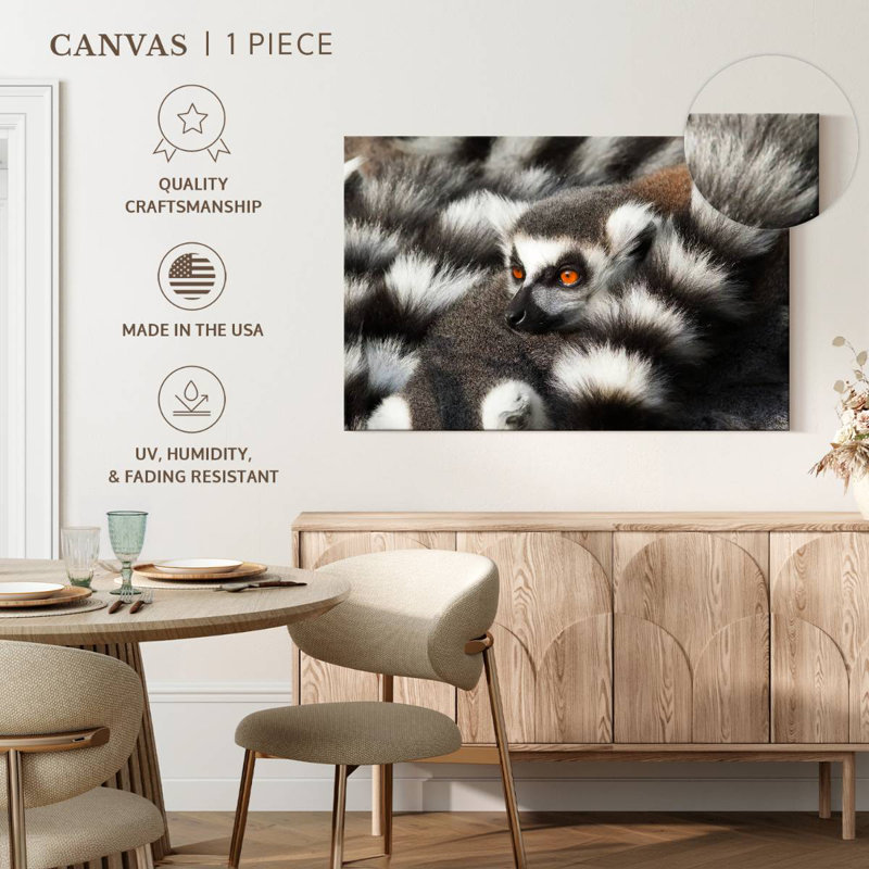 Crowle Ring-Tailed Lemur, 8" H x 12" W