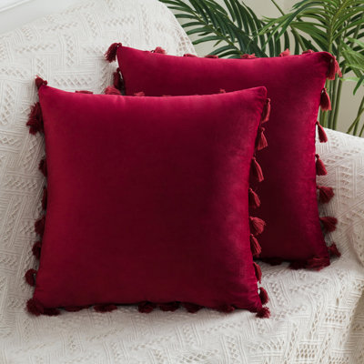 Ensemble de 2 coussins à pampilles en velours (insert inclus)