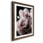 Rose noire II - photographie-1227621810-1227621805