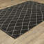 Tapis gris anthracite / ivoire Eola Trellis-2552921