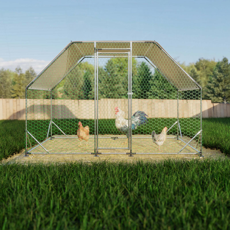 Grand poulailler en métal, H 76,32 po x l 119,28 po x P 77,52 po