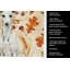 Torchon blanc Whippet Heirloom-2083472020