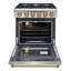 Poêle au gaz naturel autoportant en acier inoxydable avec accents bronze Kertch-93528262-132044094-128731923