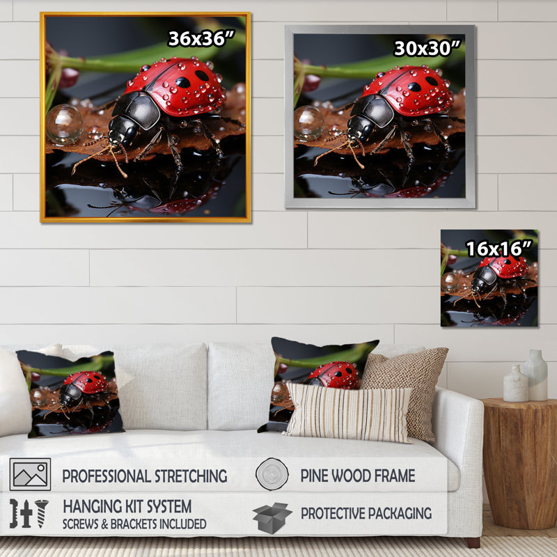 «Lactive Ladybug Reflections I», reproduction sur toile, H 24 po x l 24 po x P 1 po, Cadre simple noir
