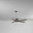 54" Classica 5 - Blade Standard Ceiling Fan with Pull Chain-14495487