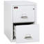 Fireproof 2 - Drawer File Cabinet-20325697