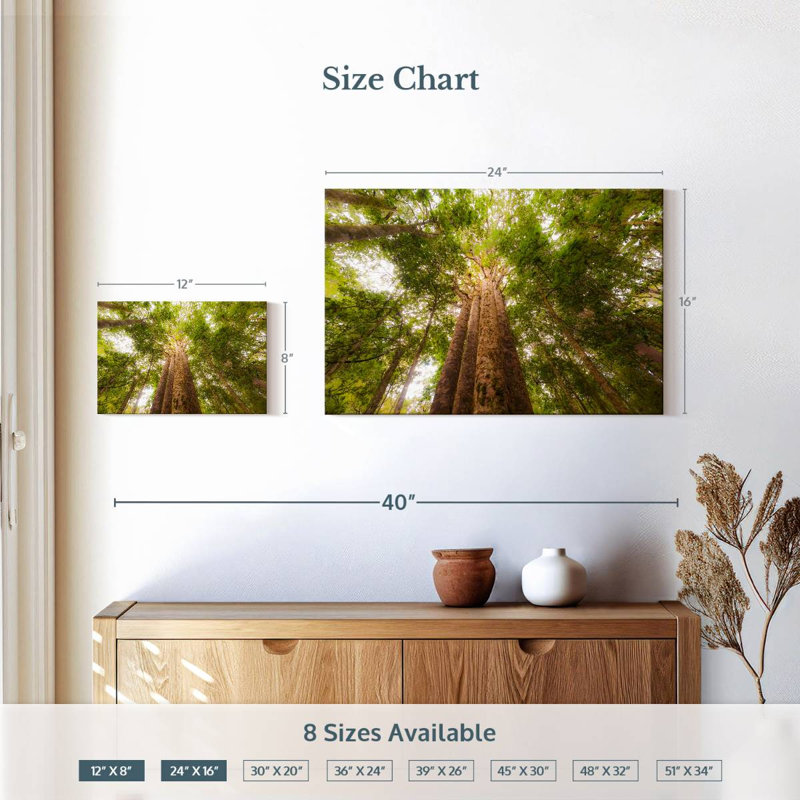 Arbres Harnek Waipoua Kauri, H 16 po x l 24 po