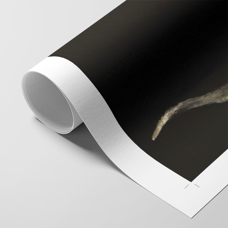 Cornes d'antilope en spirale - Impression sur toile seulement - NON CADRE, H 18 po x l 12 po