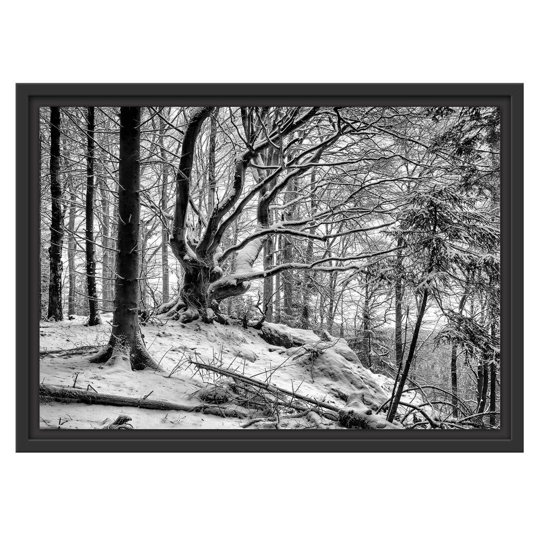 Schneebedeckter Wald Gerahmter Fotodruck