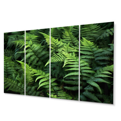 Green Fern Scenery I Plants & Flowers Wall Decor on Metal