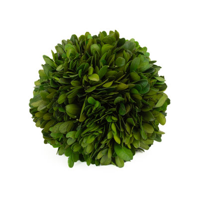 Preserved Boxwood Ball