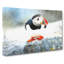 Atlantic Puffin - Wrapped Canvas Painting-56655291