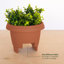 Jardinière ronde en plastique Classic Classic-1182394275-1137656888