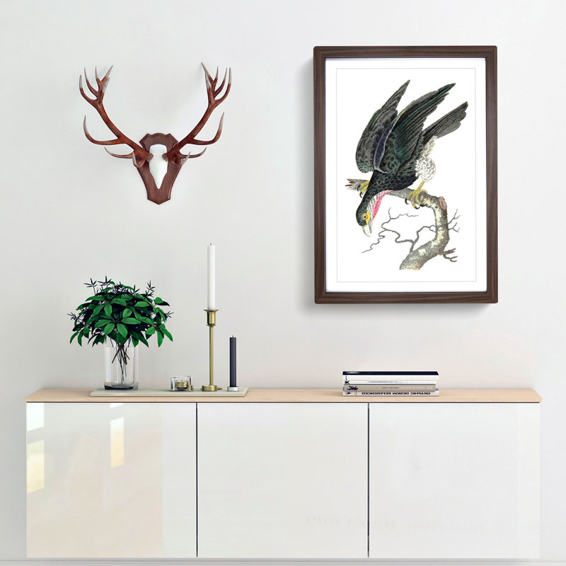 Blue Falcon by George Shaw - Picture Frame Painting, 60cm H x 40cm W x 2cm D, Walnut