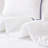 Stripe Border Comforter Set-701248583-701248582
