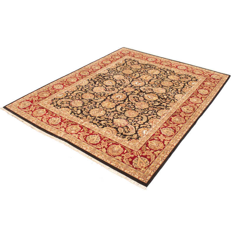 Tapis unique en laine noué à la main Agra Jaipur noir 11 pi 10 po x 14 pi 11 po New Age