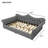 Queen Size Upholstered Daybed with LED Lights and Nailhead Trim – Sofa Bed for Living Room, Gray-1762253703
