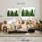 Harnek Cactus Plants-107672941
