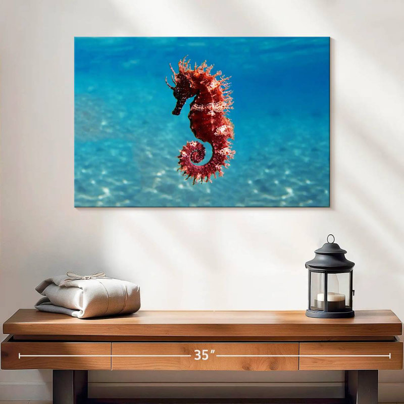 Brampt Mediterranean Seahorse, 16" H x 24" W