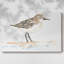 Jolie toile tendue I-Gallery-271908435
