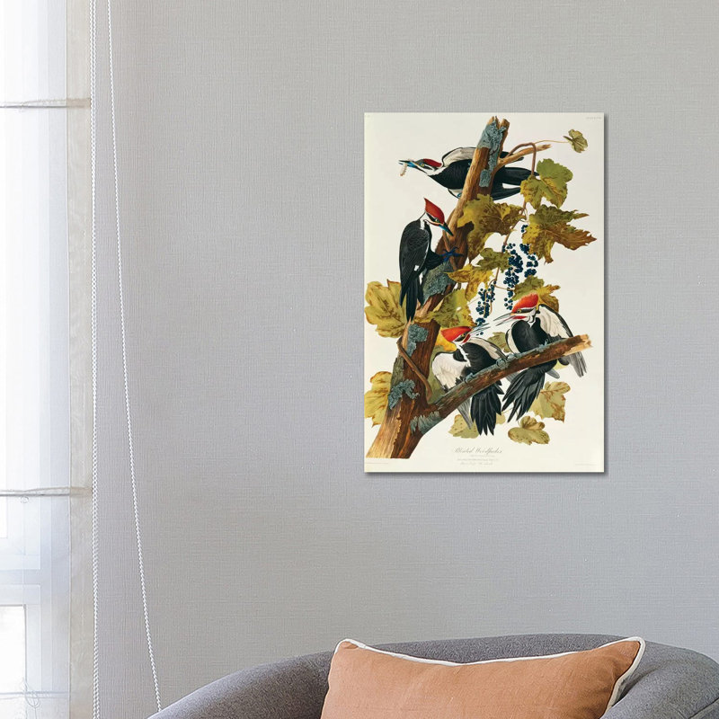 Pileated Woodpecker (Plate 111, Birds Of America) by John Audubon - Print on Canvas, 66.04 cm H x 45.72 cm W x 1.91 cm D