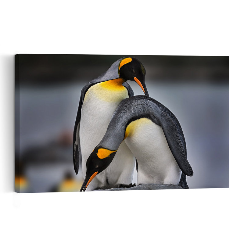 Penguin Pair Bonding Abstract Contemporary Bird Penguin Landscape Nature Wall Art Print 1 Piece Wrapped Canvas Wall Art