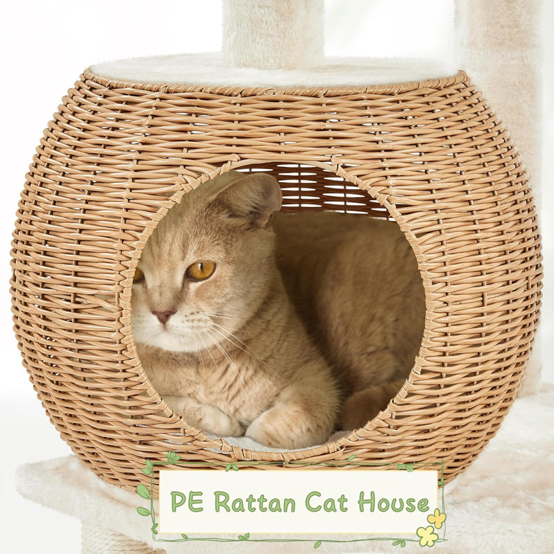 Erdheide 54'' H Cat Tree