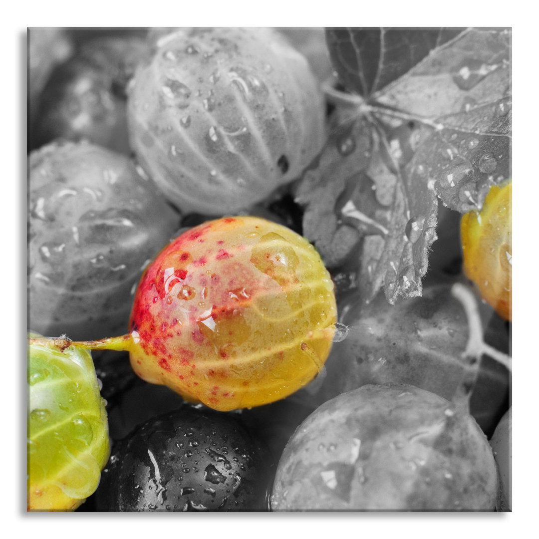 Ungerahmtes Foto auf Glas "Saftige Stachelbeeren mit Wassertropfen"