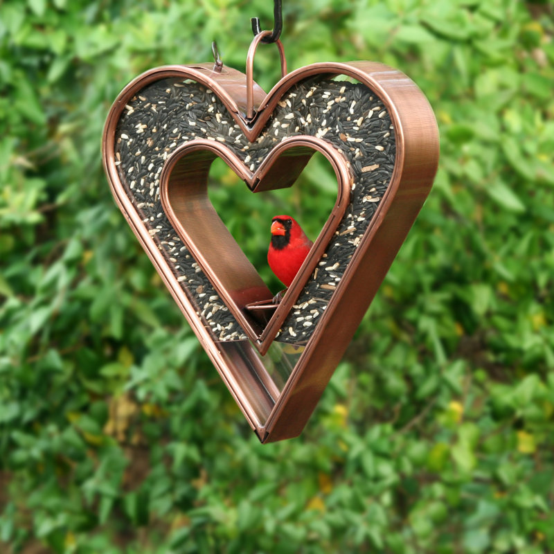 Mangeoire à oiseaux Barmore Heart Fly-Thru