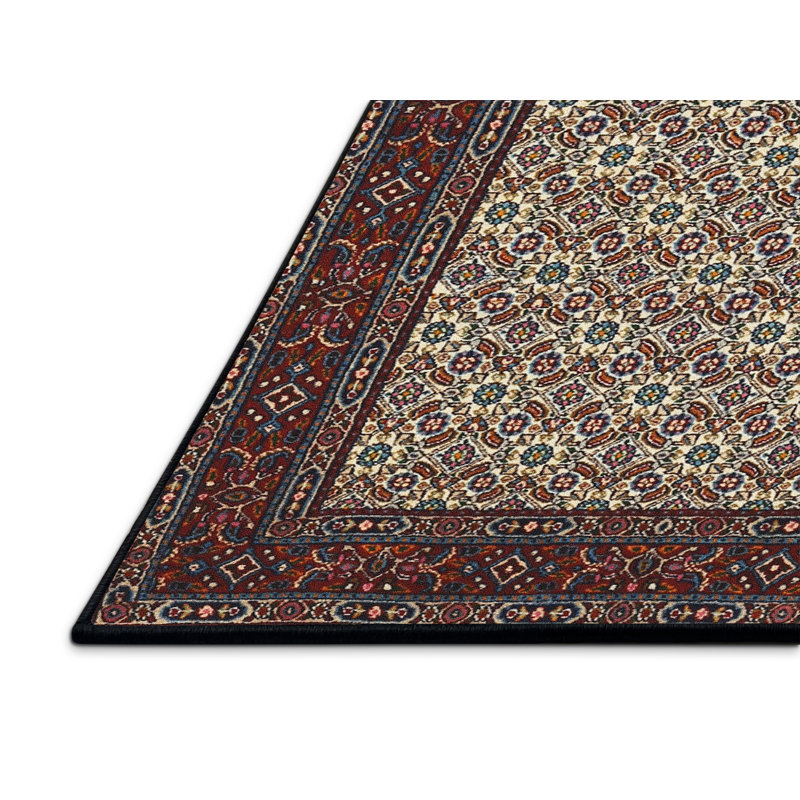 Tapis traditionnel rouge / beige Destany, Rectangle 8 pi x 10 pi