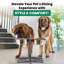Diner pour animaux Dinahlee-13945744