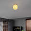 Rawden Glass Flush Mount