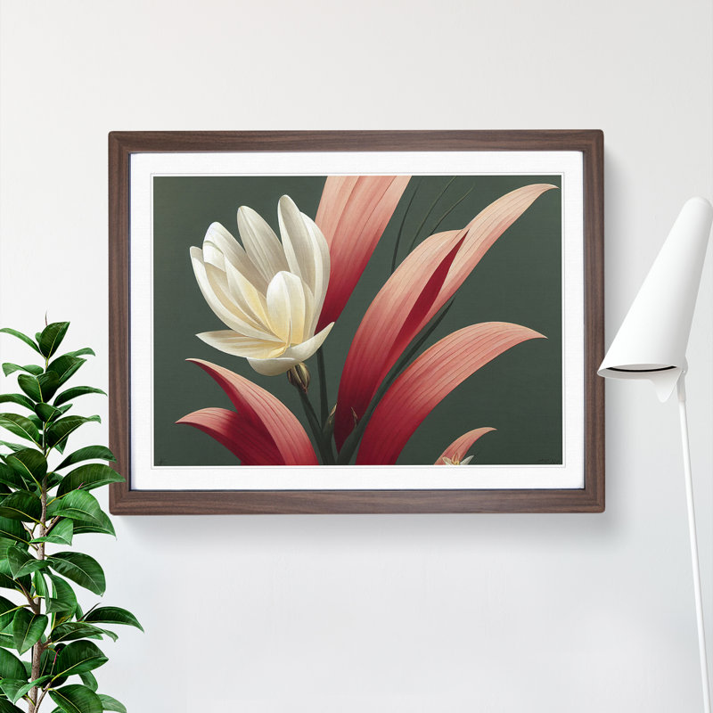 Extraordinary Flower - Single Picture Frame Print, 34cm H x 46cm W x 2cm D, Walnut
