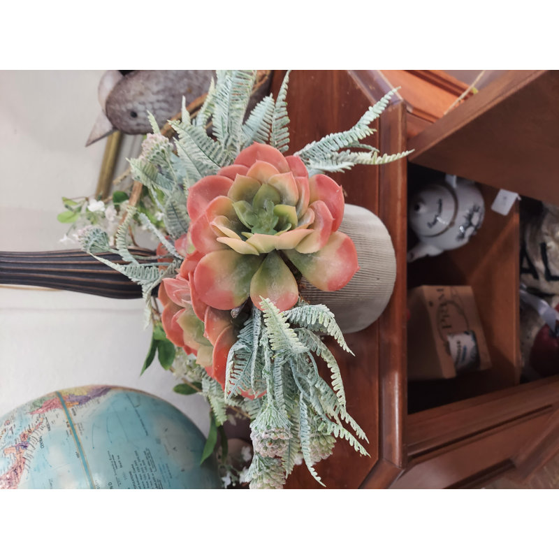 Arrangement de plantes grasses