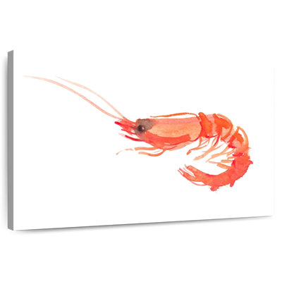 Brampt crevette orange