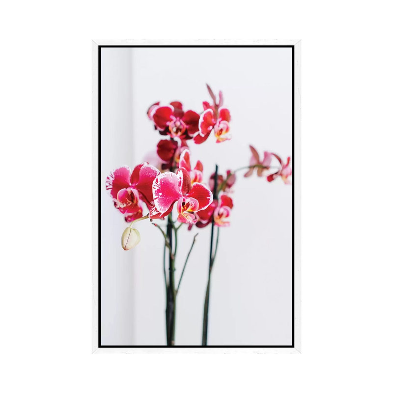 Positano Blooms II 1 Piece Wall Art on Canvas, 101.6cm H x 66.04cm W x 3.81cm D, White Framed