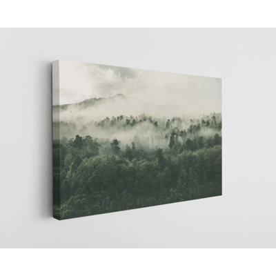 Foggy New Zealand Forests Canvas Print