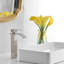 Single-handle Bathroom Faucet with Drain Assembly-72521010