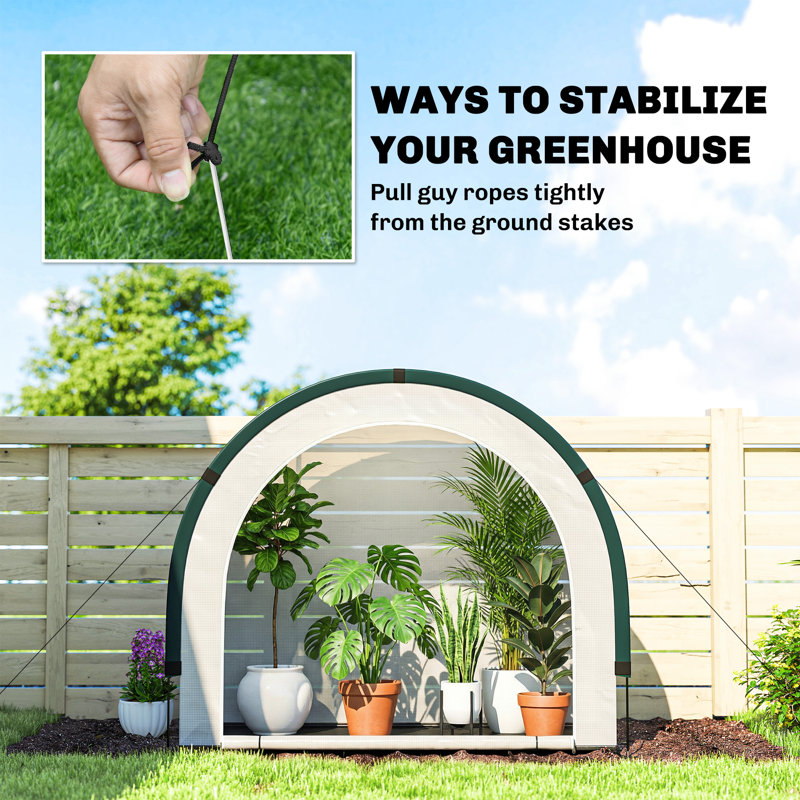 Greenhouse