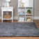 Indoor Rug