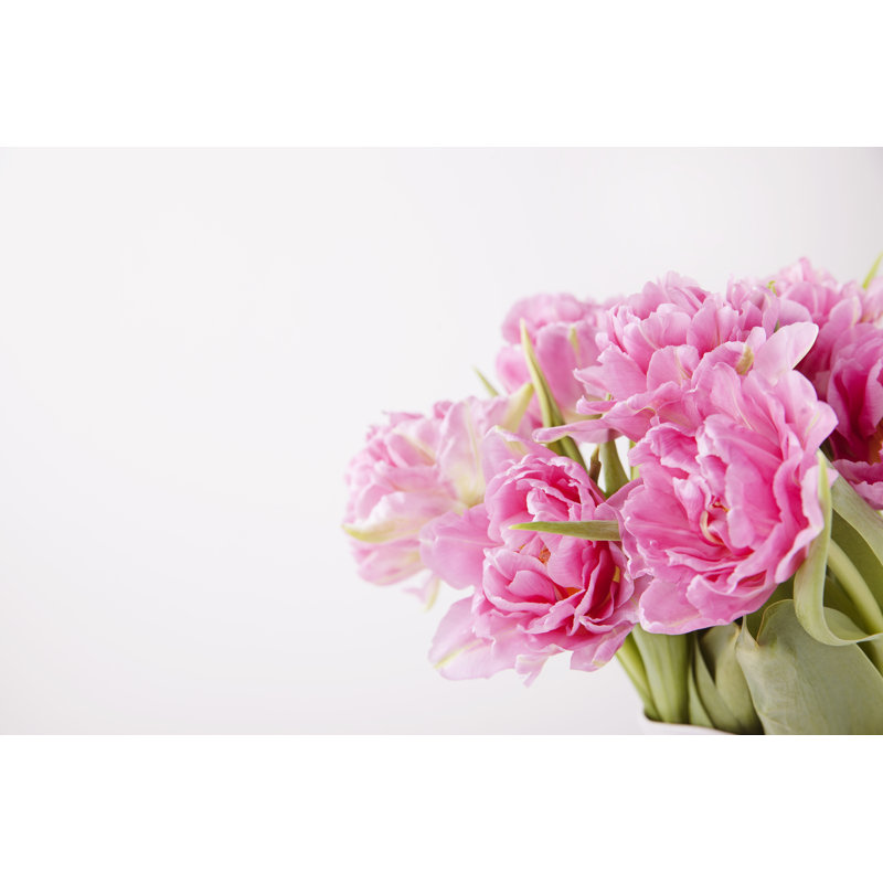 Pink Tulips by DianaDomin - Wrapped Canvas Print, 30cm H x 46cm W