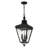 Asila 3 -Bulb 25.25" H Outdoor Hanging Lantern-1090030816