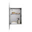 45mm W 60mm H Frameless Medicine Cabinet Mirror 1 Fixed