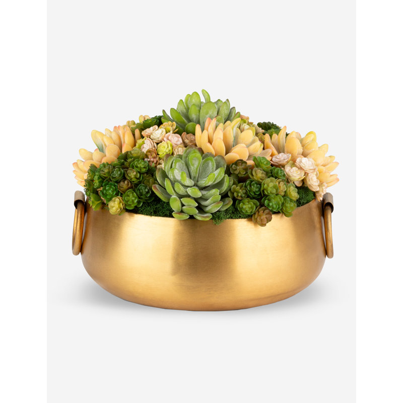 Blaise Succulent Arrangment