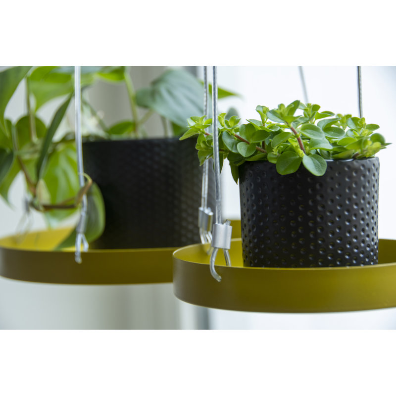 Plant Tray Hanging Round, 2.1 H x 14 L x 14cm D, Gold