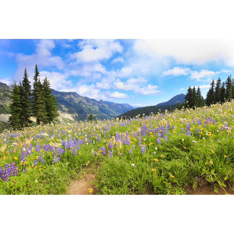 Paysage pittoresque - photographie sur toile tendue, H 32 po x l 48 po