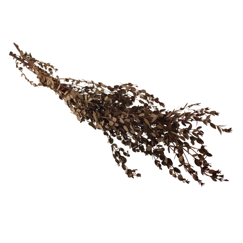 Preserved Parvifolia Arrangement