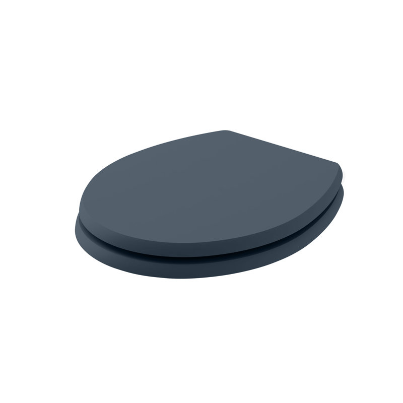 Soft Close Round Standard Toilet Seat, Blue