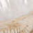 Bequette Resin Polyresin Coastal Decorative Clam Shell Bowl with Sculptural Wavy Rim - Elegant Modern Accent Bowl for Display or Storage - Stylish Textured Centerpiece for Home Decor-1766602600